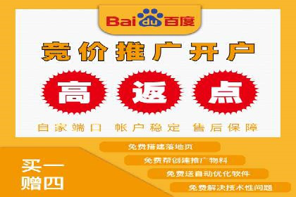 百度平台推广：成功案例解析与效果分析